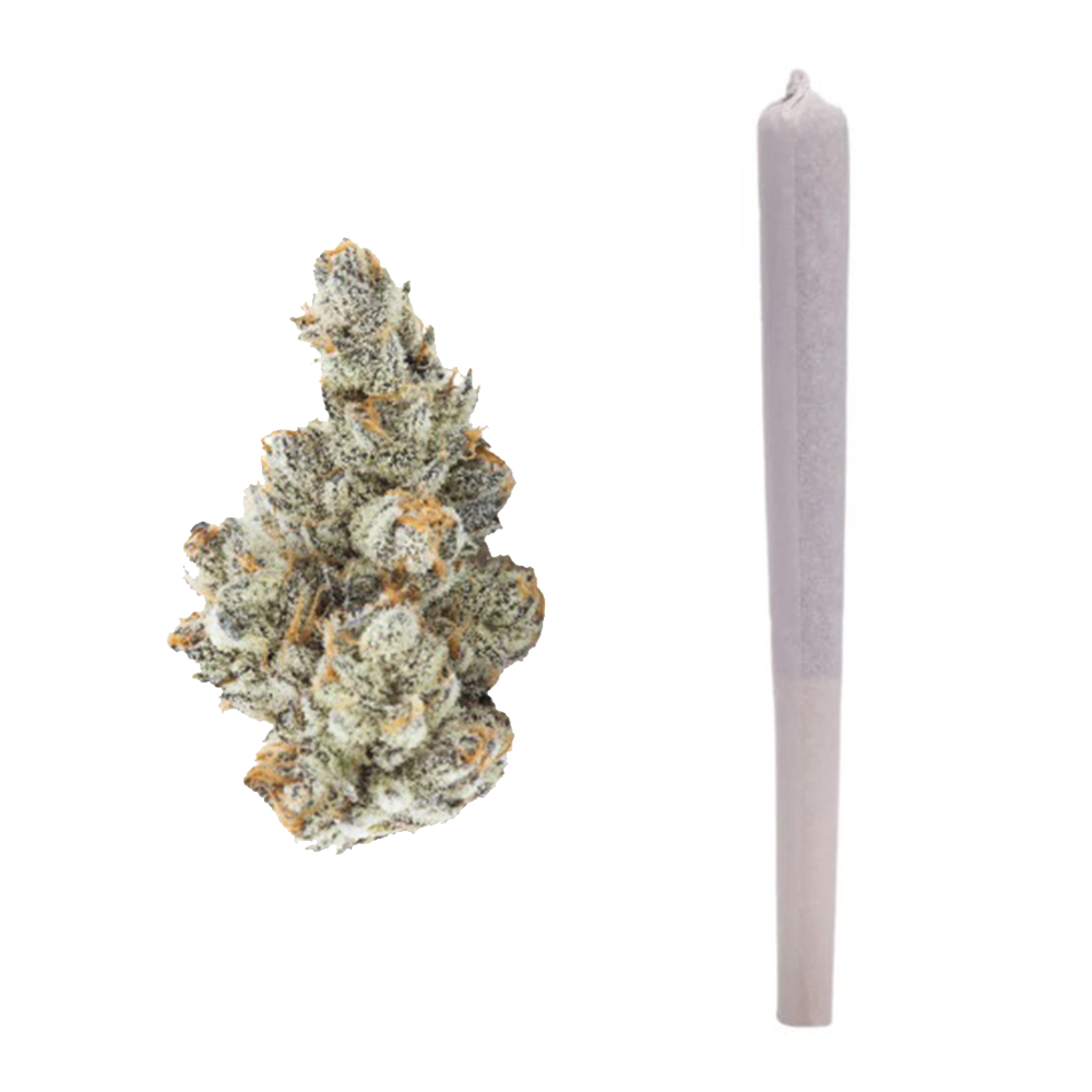 Black Truffle Pre-roll