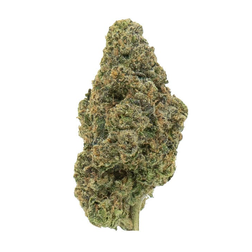 Bubble Tea Flower 28g