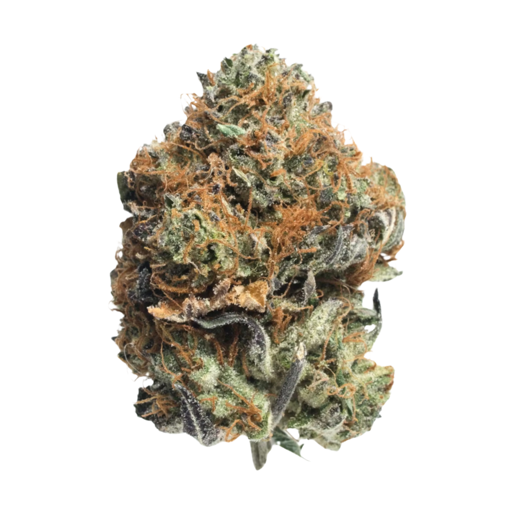 Cherry Popper Flower