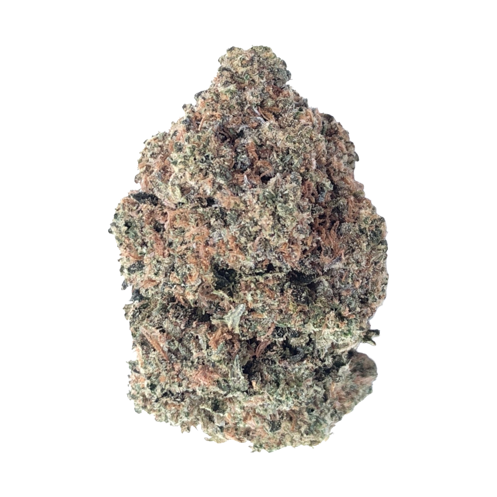 Frisian Dew Flower 7g