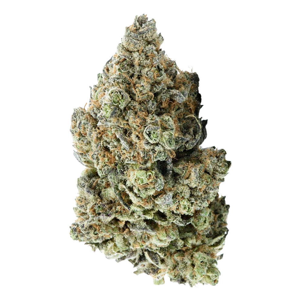 Lasqueti Haze Flower 7g