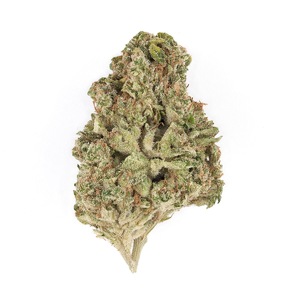 Neville's Wreck Flower 14g