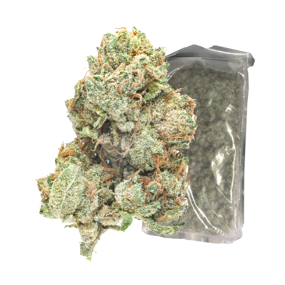 Star fighter Flower 1 LB