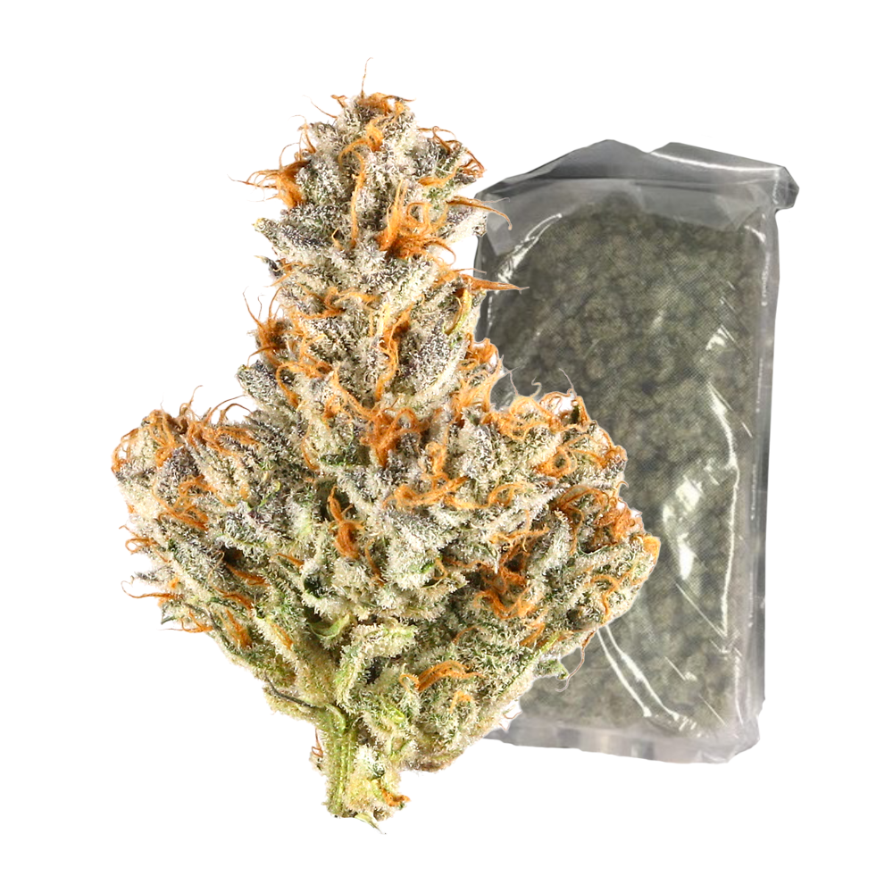 White Truffle Flower 1 LB