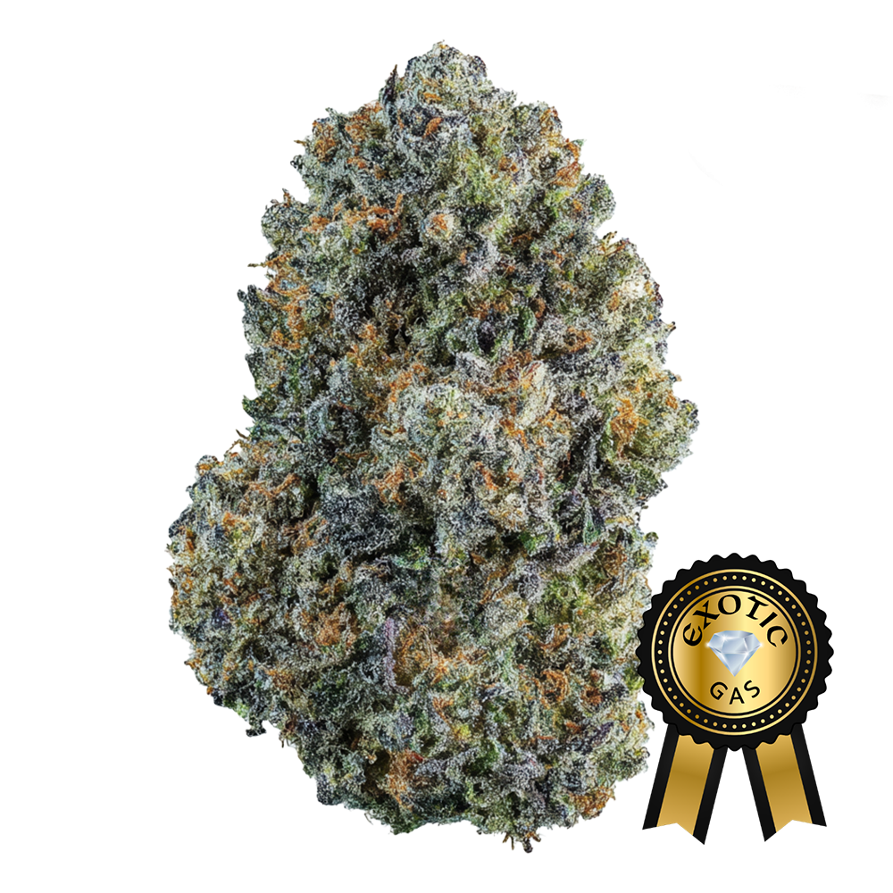 Cake Crasher (Exotic) Flower - 28g