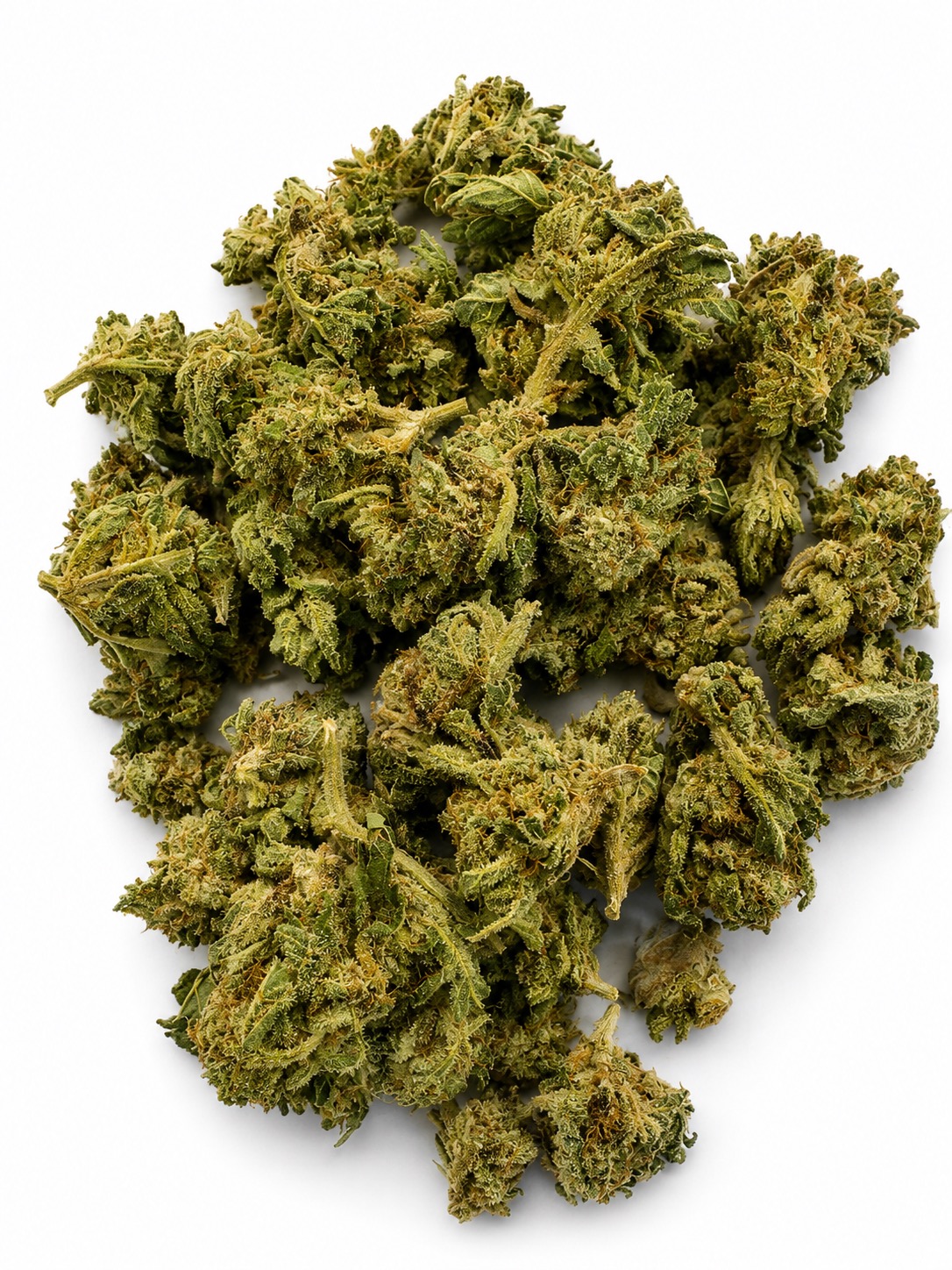 Captain Jay Flower - 28g