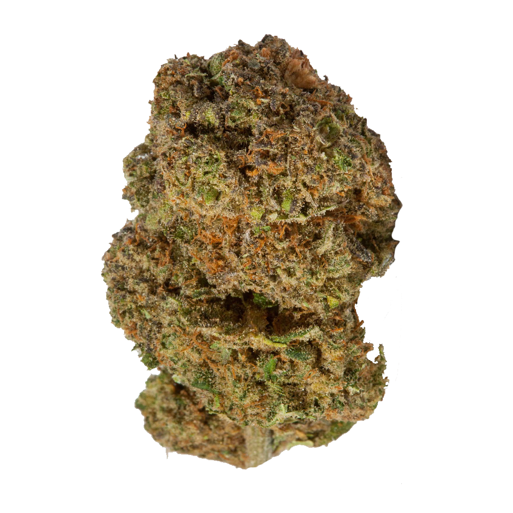 Day Light Flower - 28g