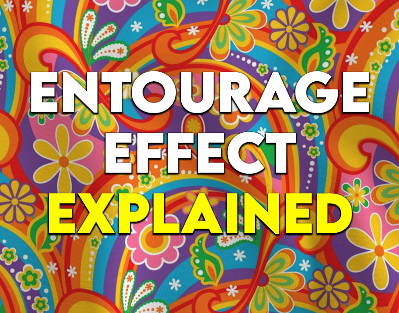 The Entourage Effect: Why Cannabis Works Better as a Team