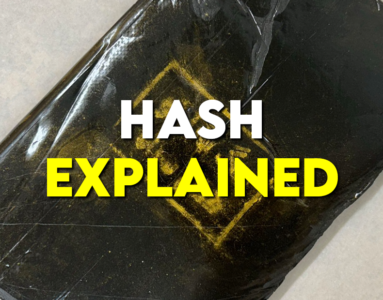Hashish at Red Roots Trading: The Real, Gold Seal Deal
