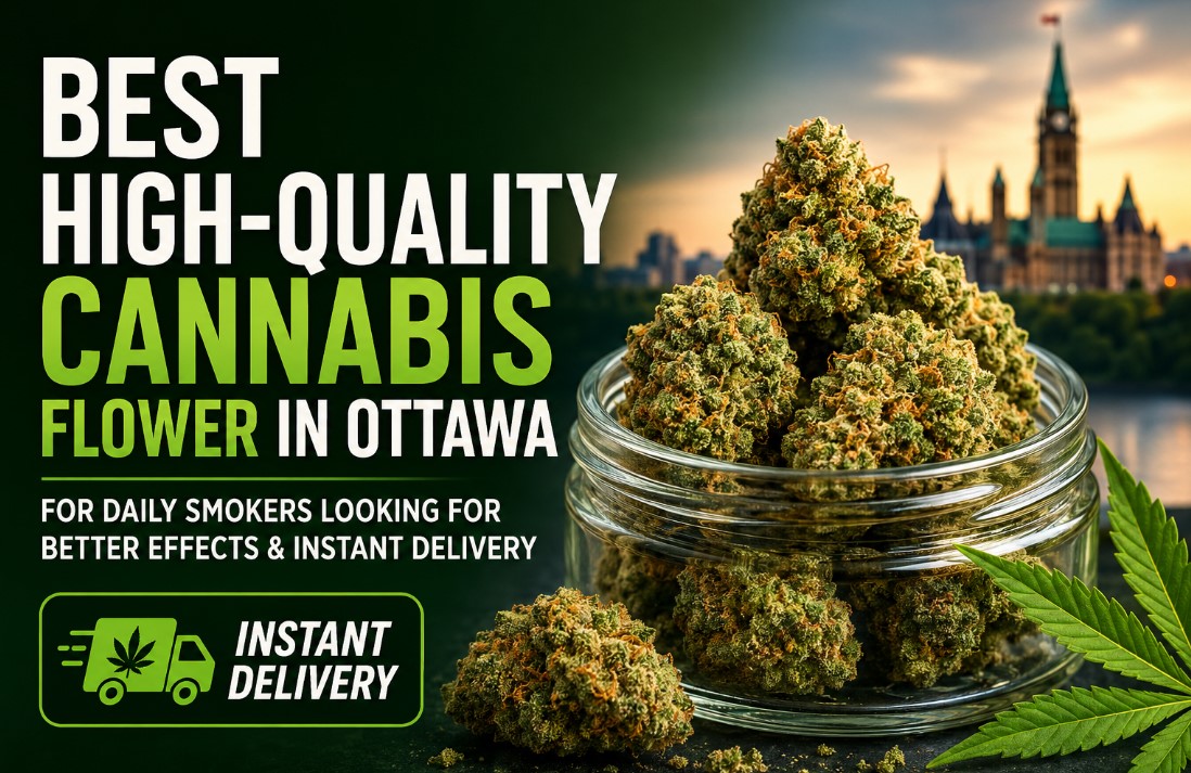 Best High-Quality Cannabis Flower in Ottawa for Daily Smokers Looking for Better Effects & Instant Delivery