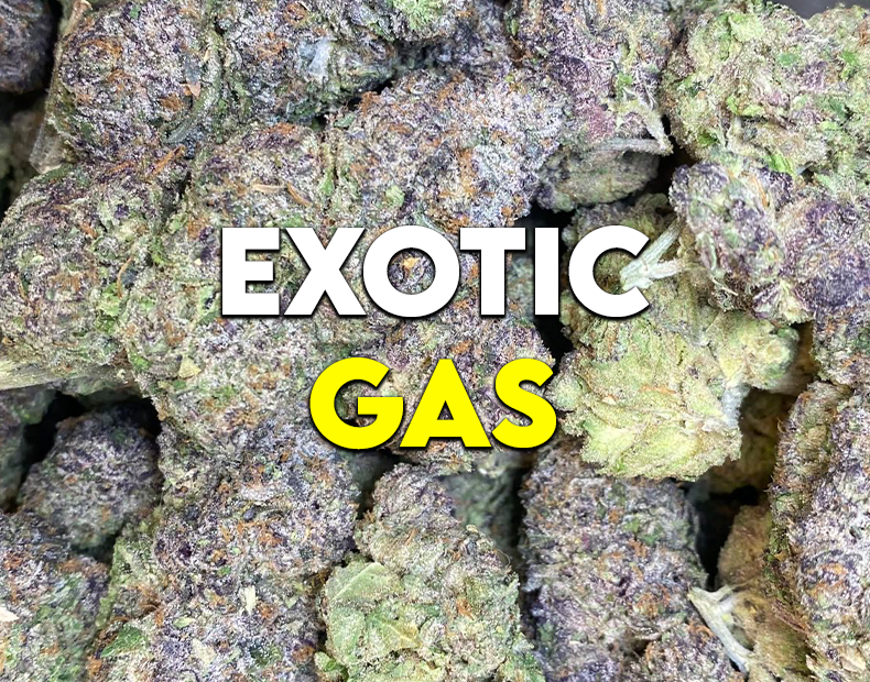 Exotic Gas Has Entered the Chat: Top Tier Cannabis at Red Roots Trading Co.