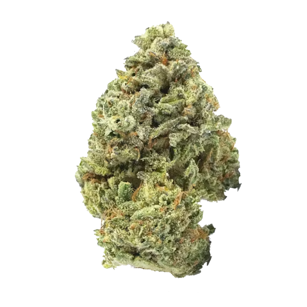 Gopher Glue Flower - 28g