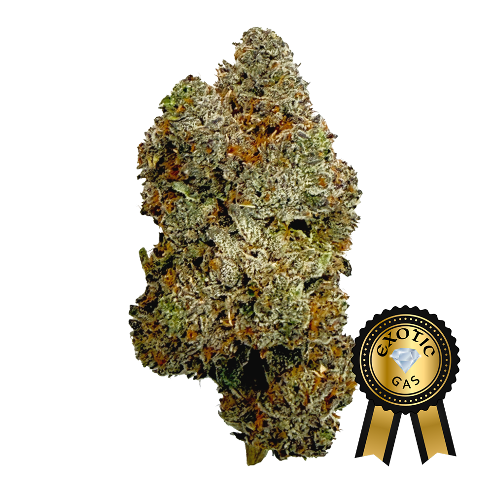 Ice Cream Cake (Exotic) Flower - 28g