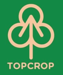 TOP CROP