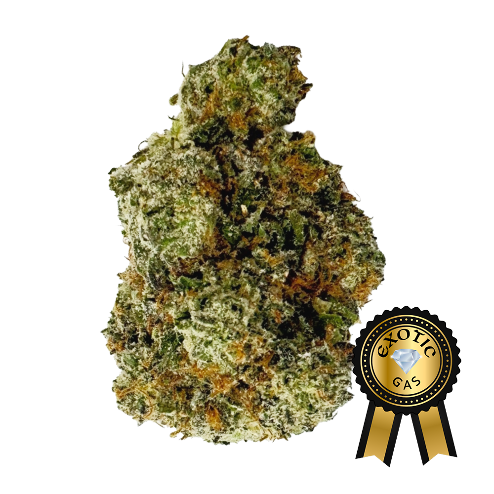 Justin Trudeau Kush (Exotic) Flower - 28g