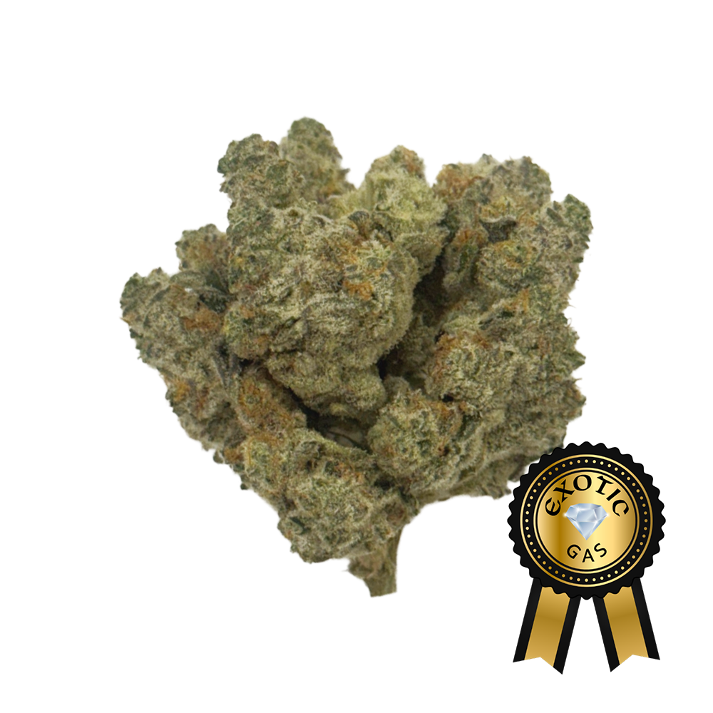 Kush Mintz (Exotic) Flower - 28g