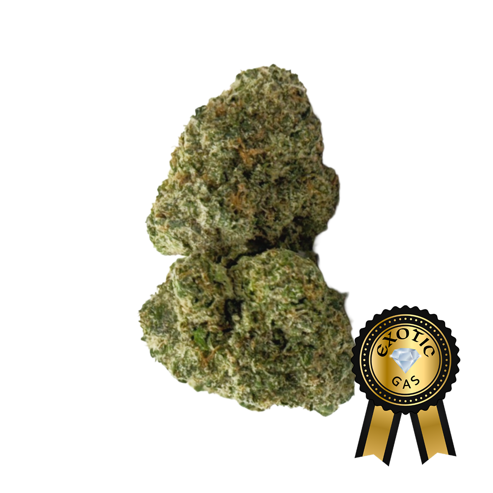 Lemon Cherry Gelato (Exotic) Flower - 28g