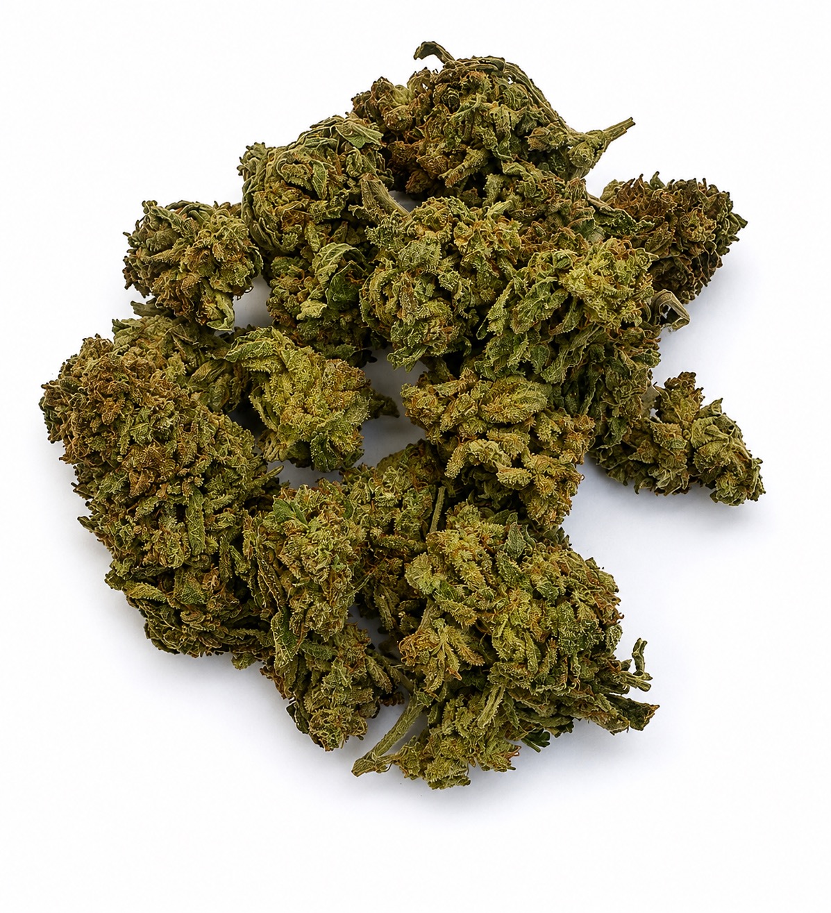 Purple Cough Flower - 28g